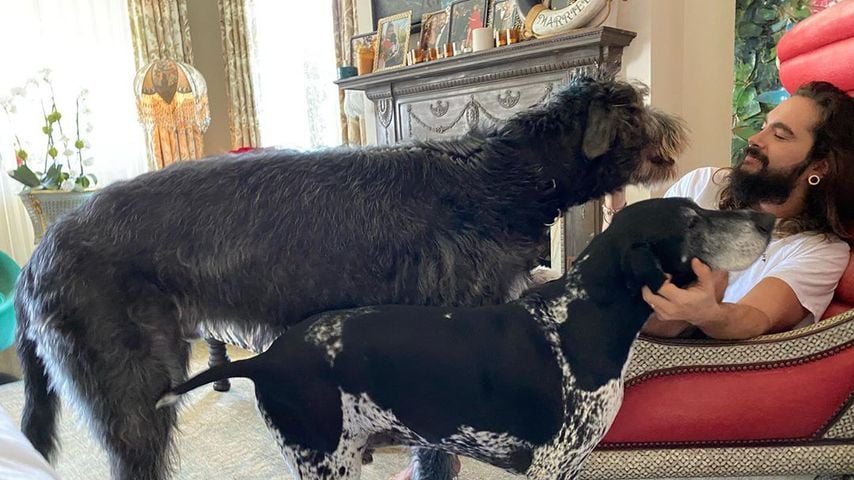 Tom Kaulitz mit den Hunden Anton und Capper