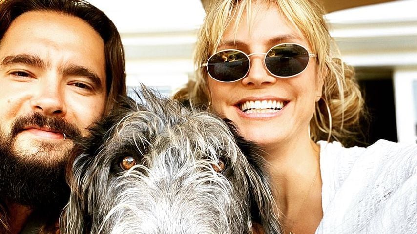 Tom Kaulitz und Heidi Klum mit ihrem Hund