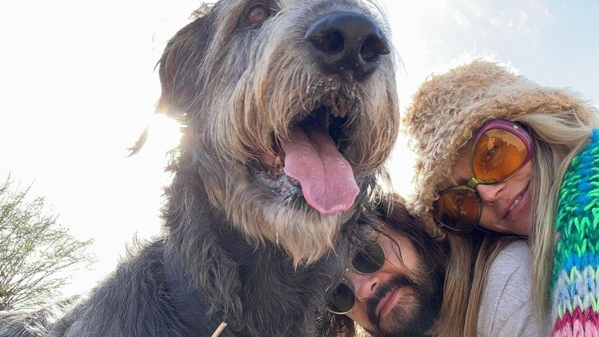 Tom Kaulitz und Heidi Klum trauern um einen weiteren Hund