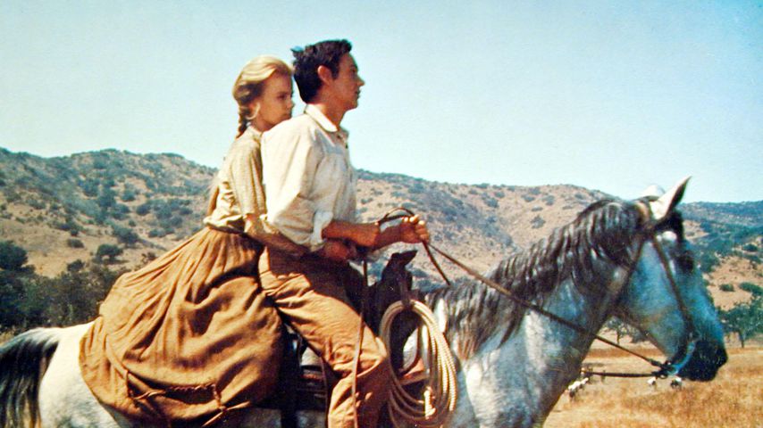 Tommy Kirk in "Savage Sam, Im Tal Der Apachen"