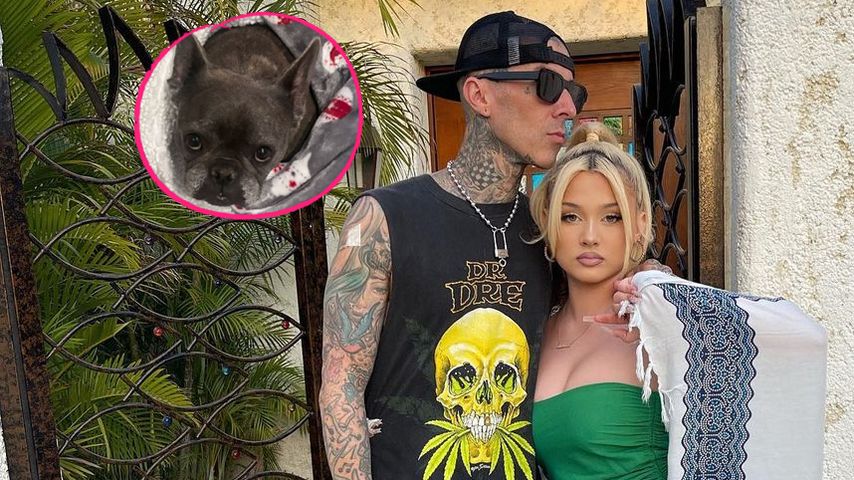 Travis Barker und Tochter Alabama trauern um ihren Hund Blue