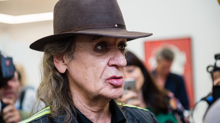 Udo Lindenberg, Musiker