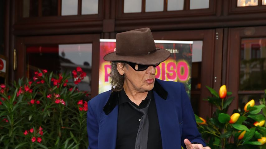 Udo Lindenberg, Künstler