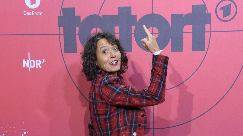 Ulrike Folkerts, Schauspielerin