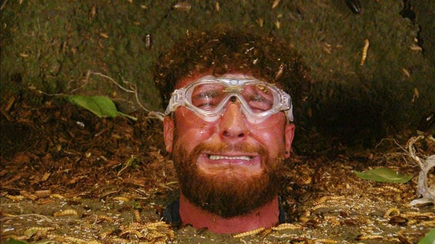 Umut Tekin, Dschungelcamp 2026