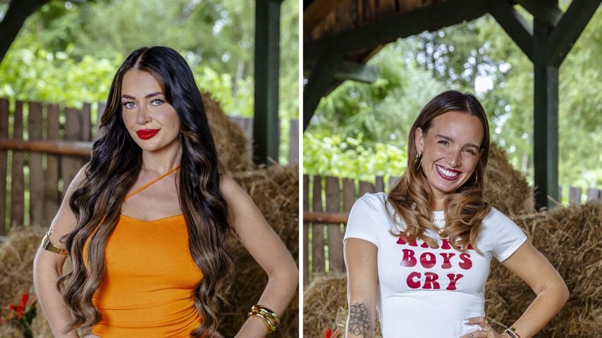 Collage: Vanessa Brahimi und Julia Römmelt