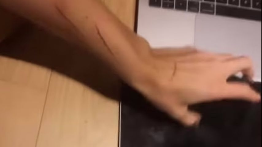 Vanessa Sierras Arm, Mai 2021