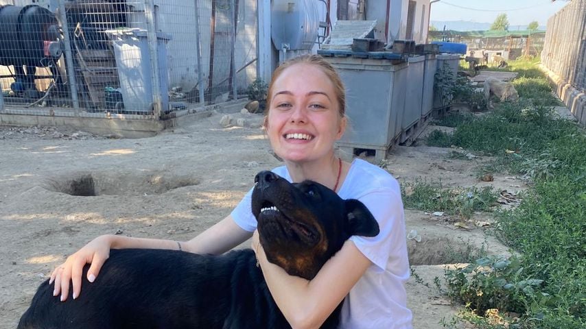 Tierheimbau für Hunde: Tamkans starten Mega-Spendenaktion!
