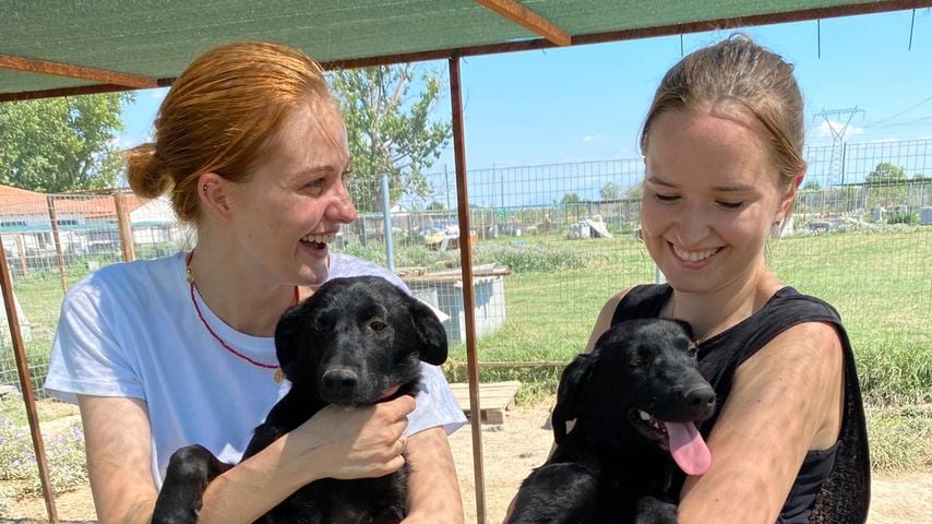 Vanessa Tamkan im Hundegarten Serres, Griechenland