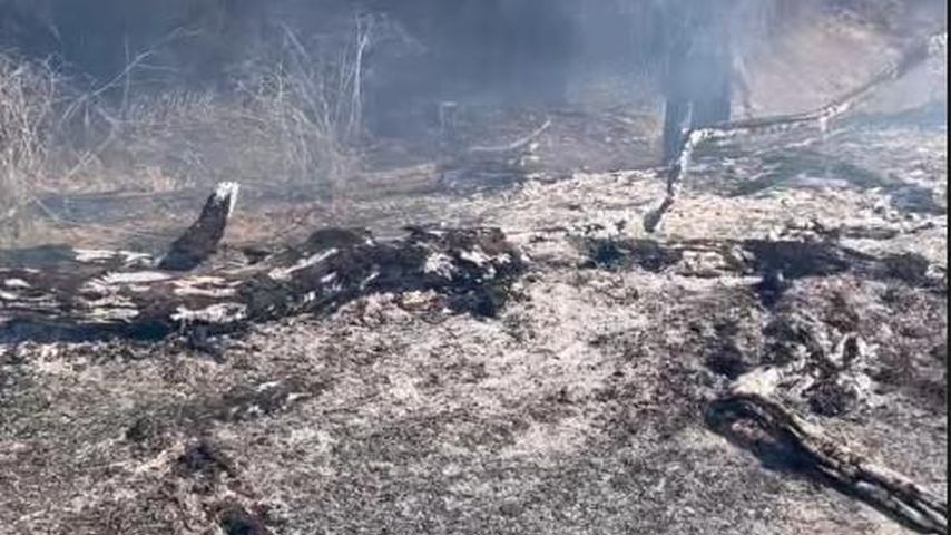 Verbrannter Boden auf Anna Heisers Farm