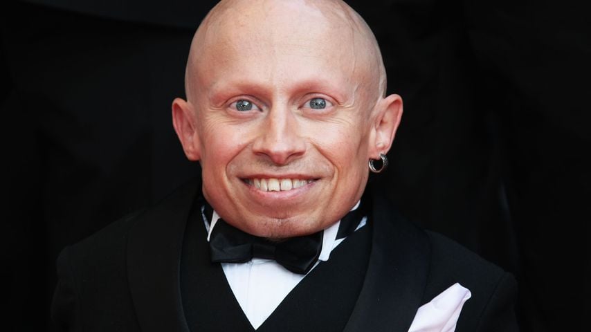 Tragisch: "Austin Powers"-Mini-Me muss in Alkohol-Entzug!