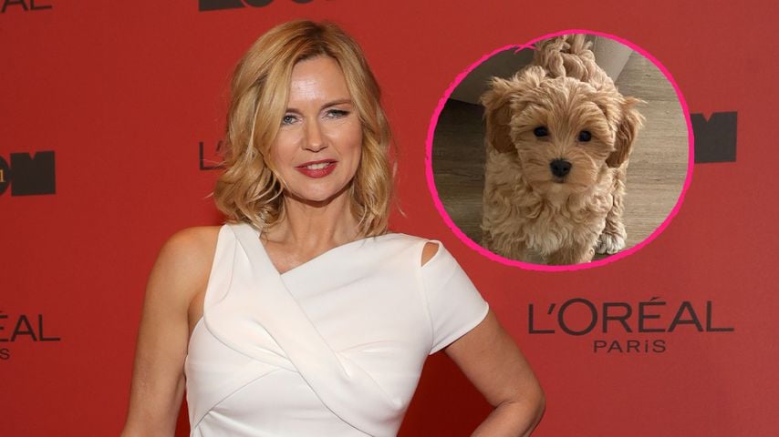 Süß! Veronica Ferres stellt tierischen Familienzuwachs vor