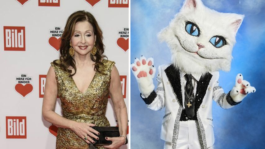 "The Masked Singer"-Katze: Passen Tipps zu Vicky Leandros?