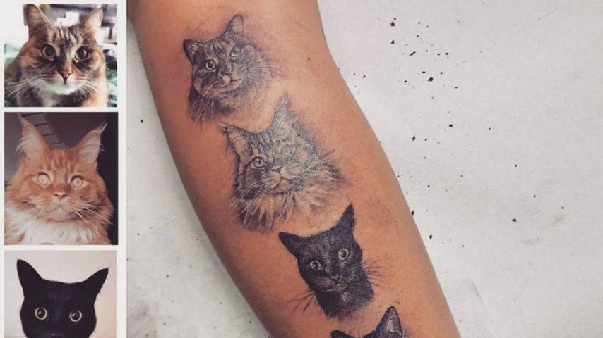 Vivien Michallas Katzen-Tattoo