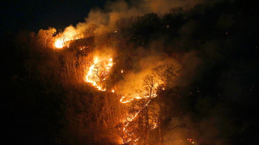 Waldbrand im Amazonas, August 2019