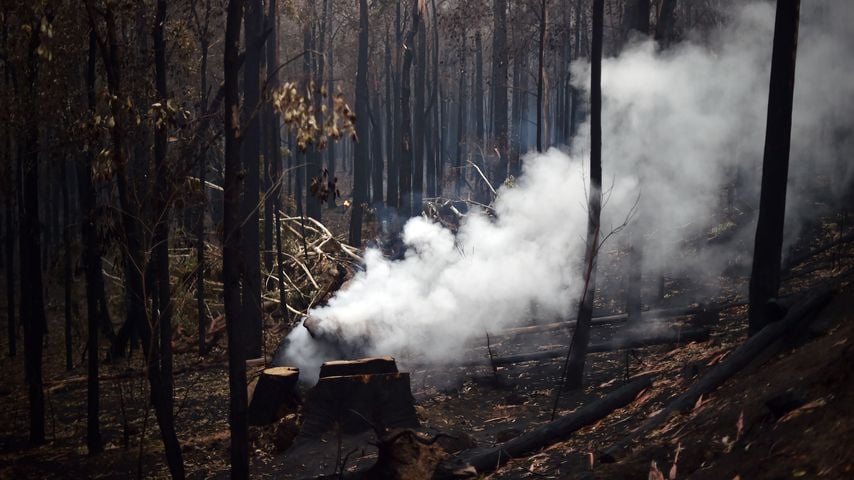 Waldbrand in Nowra (Australien)