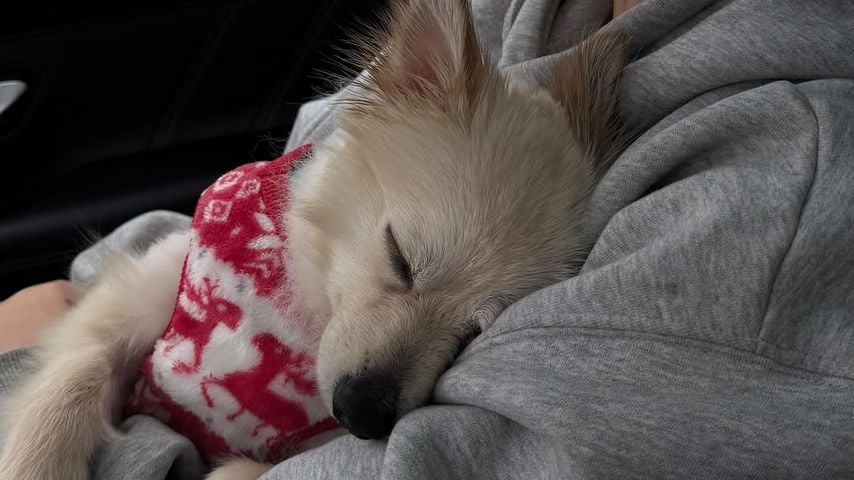 Walentina Doronina mit Hund Coco