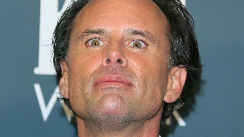 Walton Goggins bei "White Lotus"-Dreh von Schlange gebissen