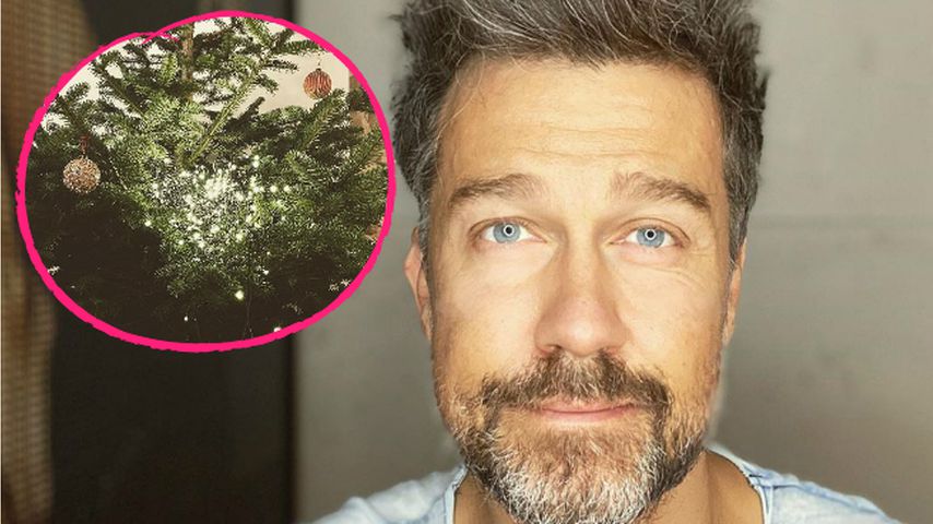 Kein perfekter Baum: Carpendales verzweifeln an Lichterkette