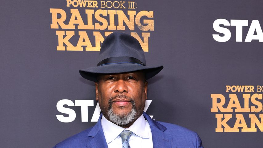Wendell Pierce, Schauspieler