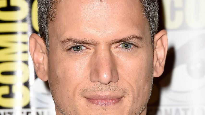 Wentworth Miller, Schauspieler
