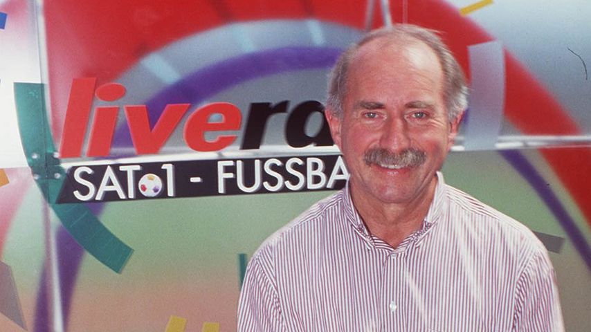 Werner Hansch, Journalist