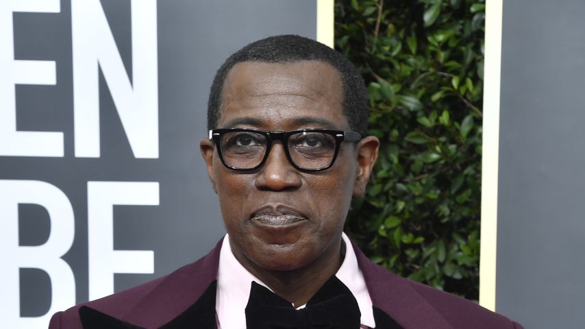 Wesley Snipes: Aus dem Knast zu den Expendables