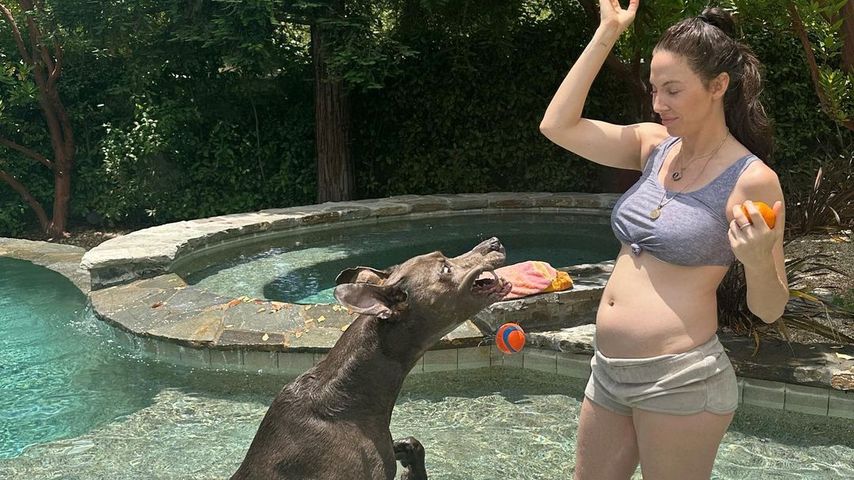 Whitney Cummings und ihr Hund im Juni 2023