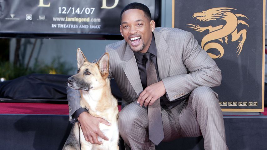 Schauspieler Will Smith mit Filmhund Abbey