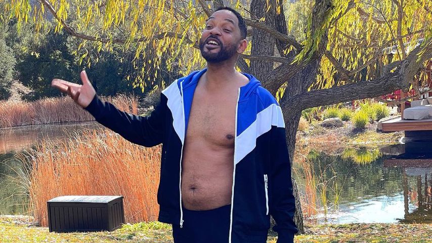 Will Smith, Schauspieler