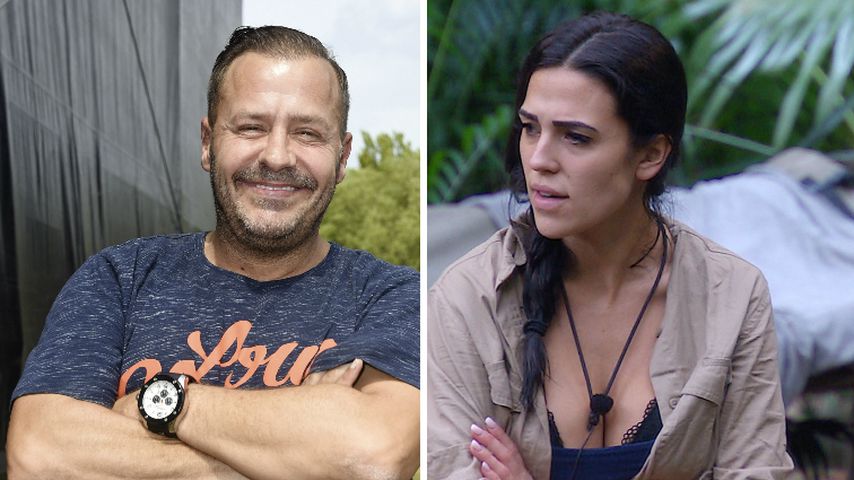 Willi weiß: Darum war Elena im Sommerhaus angriffslustiger