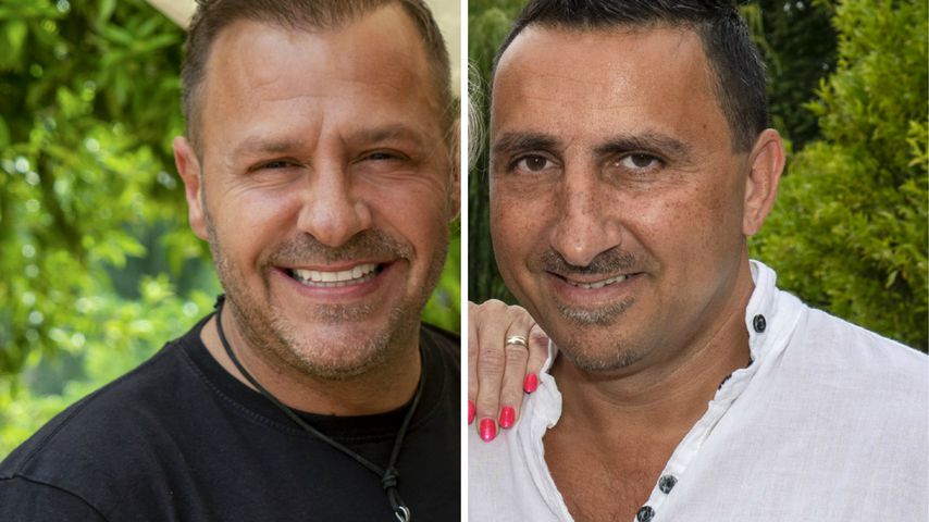 Darum eskalierte Willi & Rolands Sommerhaus-Streit wirklich!
