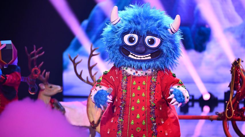 Willi W., "The Masked Singer" 2024