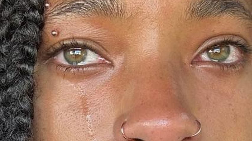 Willow Smith, Musikerin