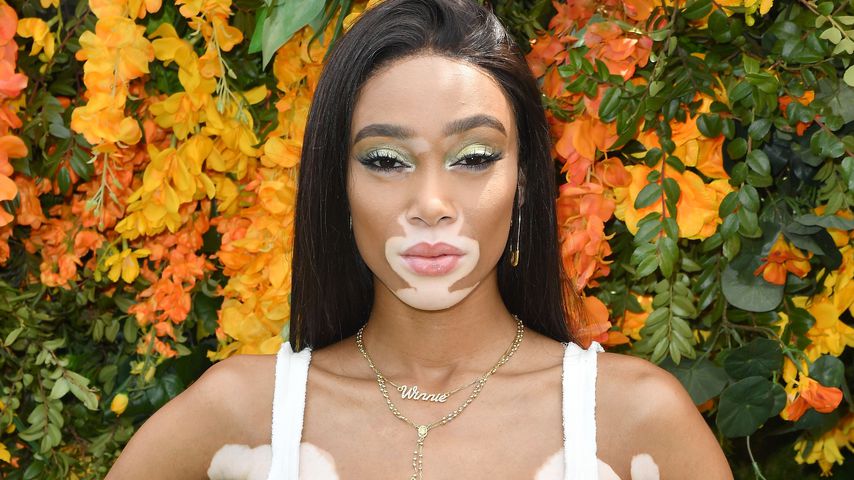 Total ausgelassen: Hier tanzt Winnie Harlow auf einer Jacht!