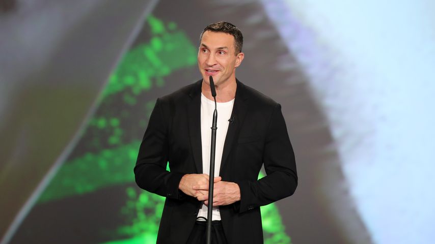 Wladimir Klitschko, Profiboxer