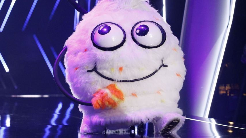 Wuschel bei "The Masked Singer"