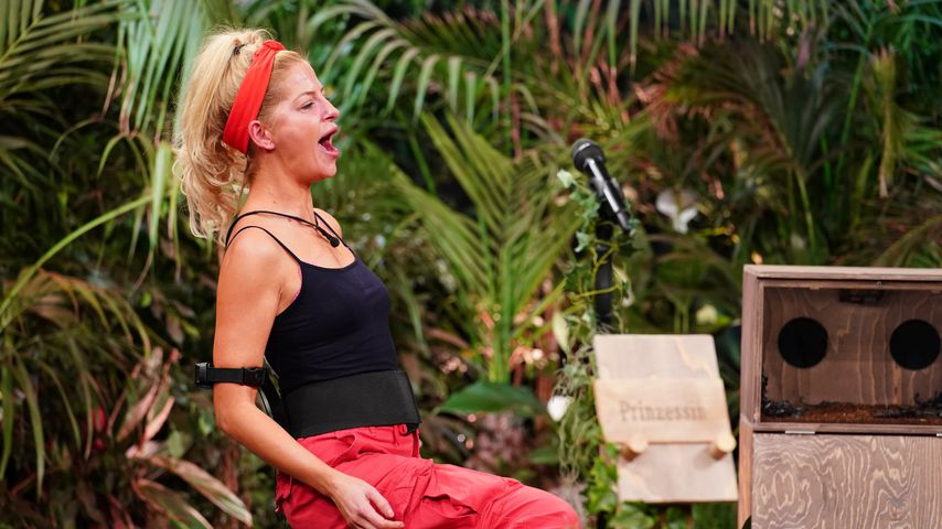 Halbfinale knapp verfehlt! Dieser Dschungelshow-VIP ist raus
