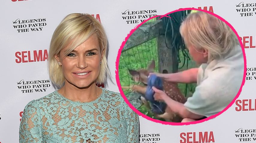 Ganz tierlieb: Yolanda Hadid rettet Rehkitz aus einem Zaun