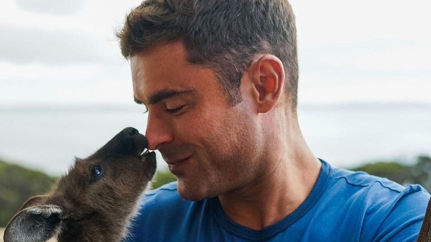 Zac Efron, Schauspieler