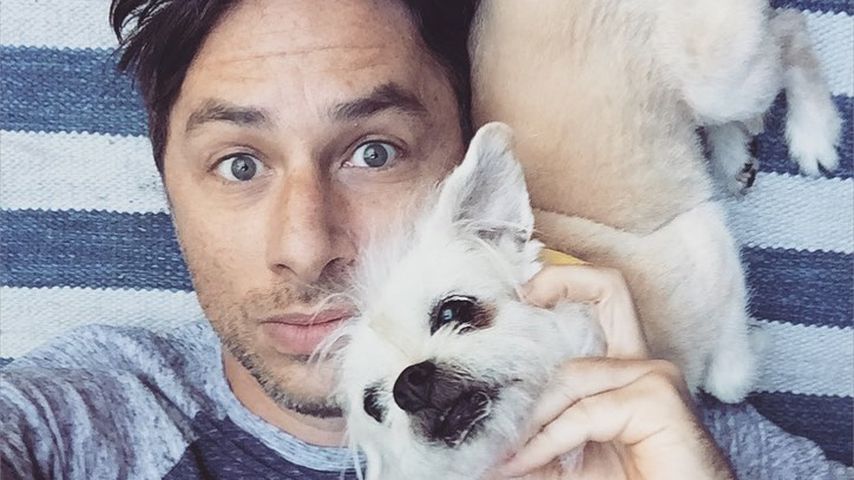 Rührende Bilder: Zach Braff trauert um seinen Hund Roscoe
