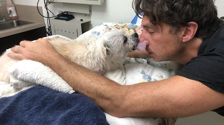Zach Braff mit seinem Hund Roscoe