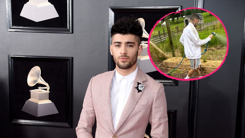 Zayn Malik lässt sich von Tochter bei Gartenarbeit ablichten