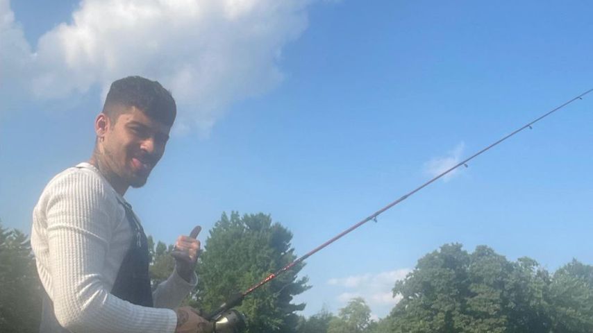 Zayn Malik, Musiker