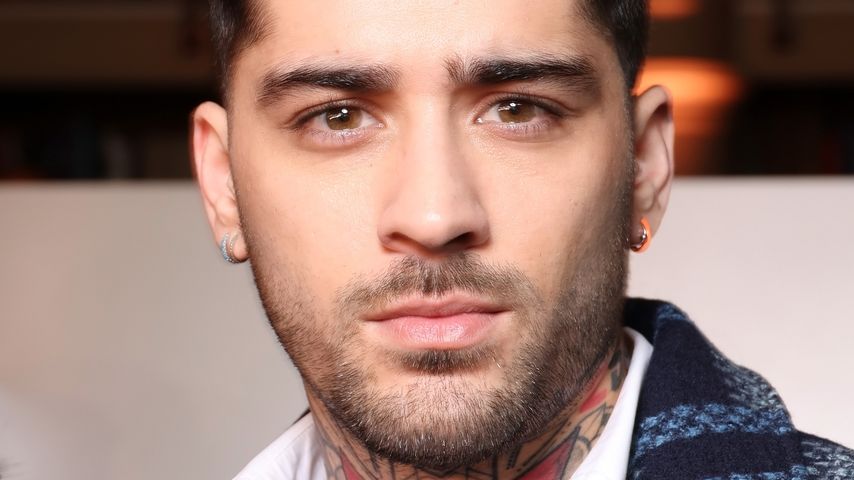 Zayn Malik, Sänger