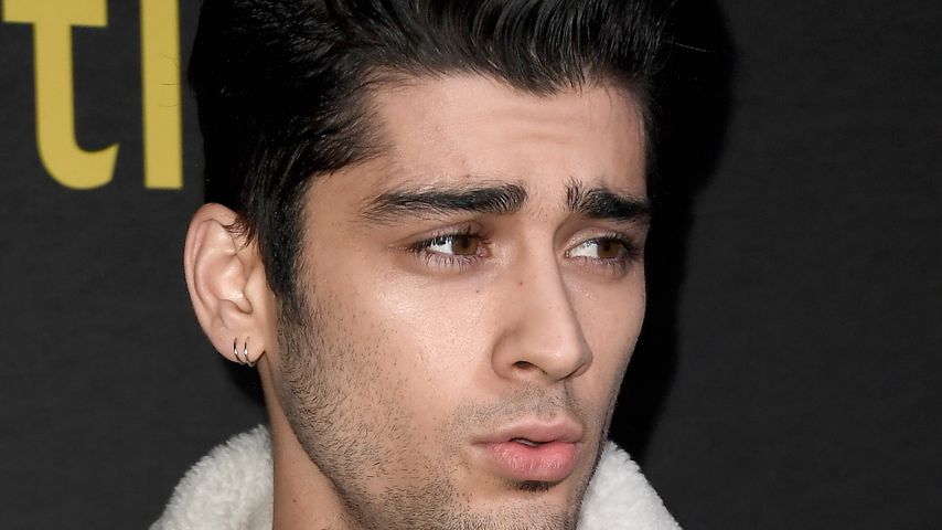 Zayn Malik, Sänger
