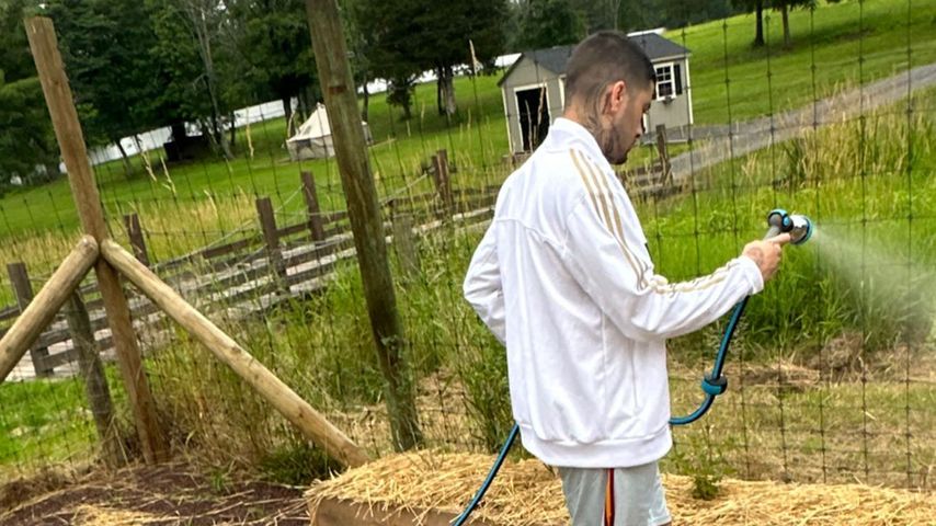 Zayn Malik, Sänger