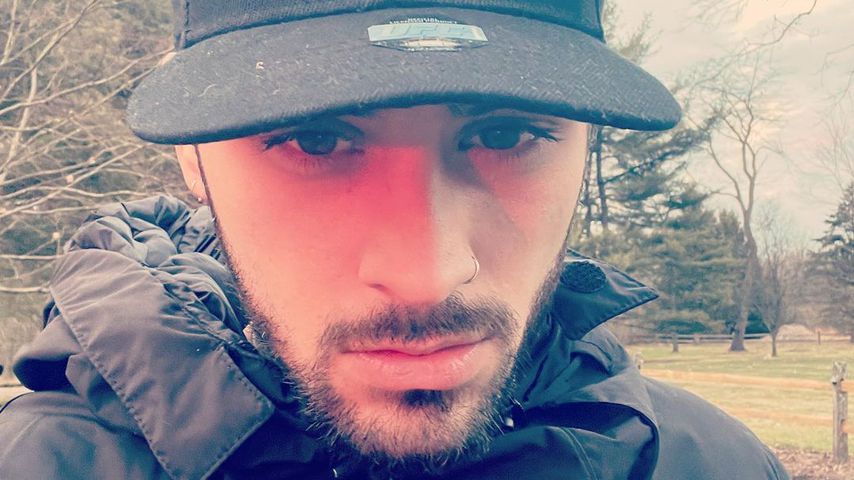 Zayn Malik, Musiker