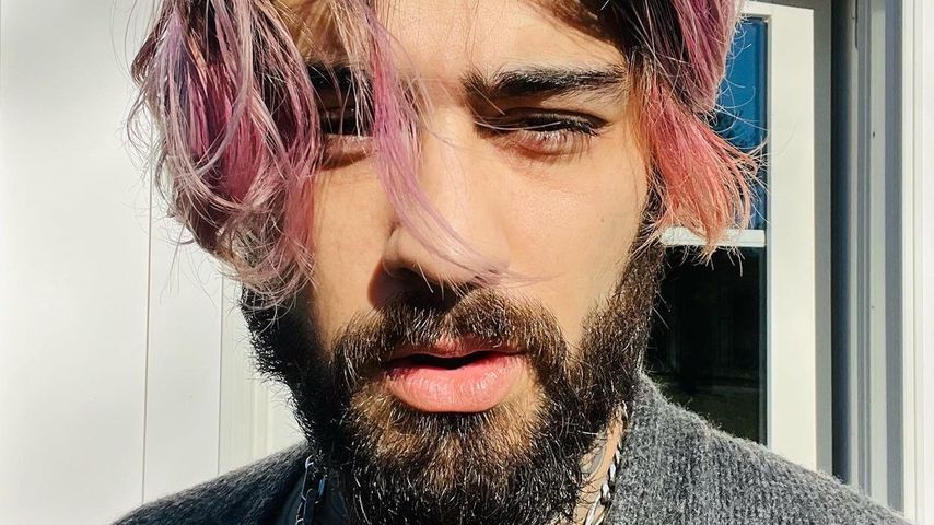 Zayn Malik, Sänger