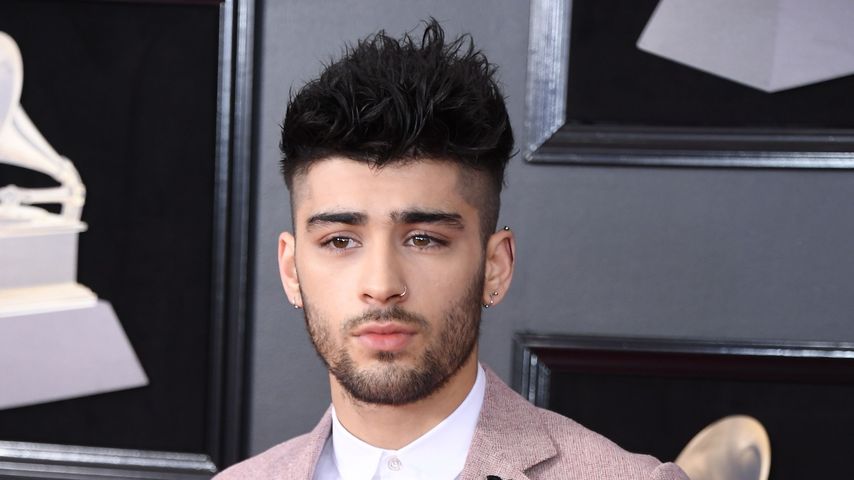 Zayn Malik, Musiker